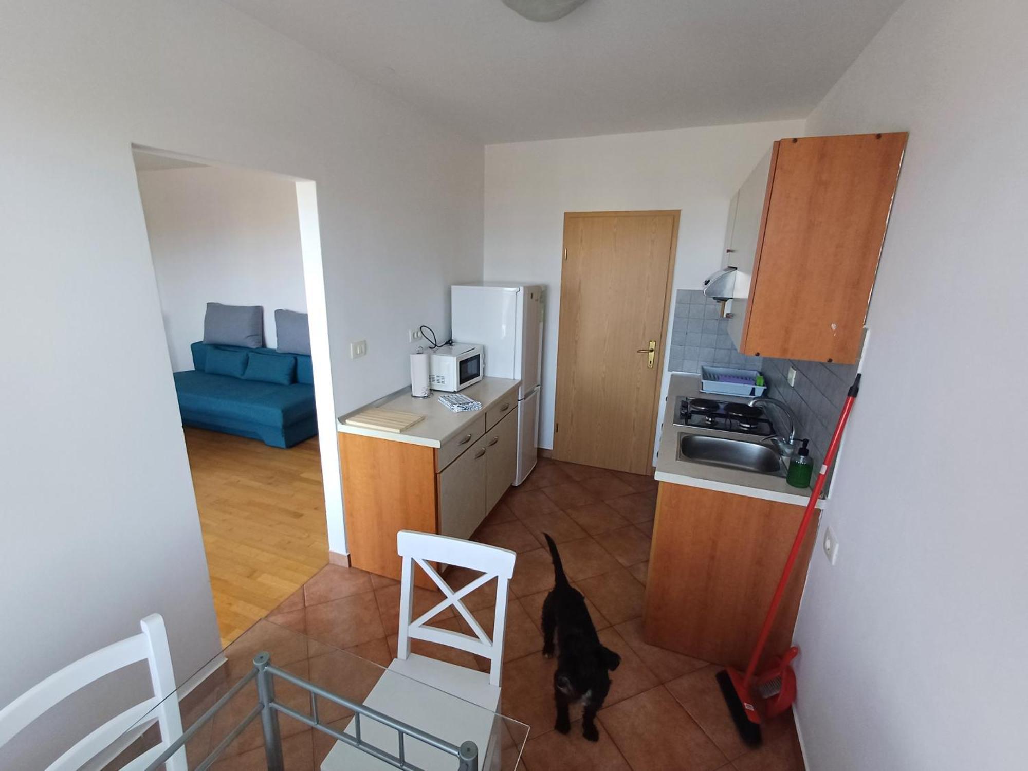The Orange House Apartment Izola Ngoại thất bức ảnh